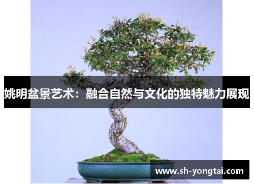 姚明盆景艺术：融合自然与文化的独特魅力展现