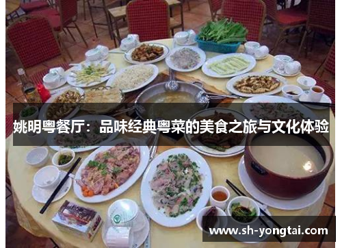 姚明粤餐厅：品味经典粤菜的美食之旅与文化体验
